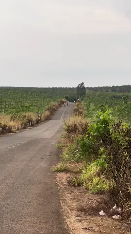 hệ đồng bài thử sức 😆#xuhuong #xuhuongtiktok #sirus62+4