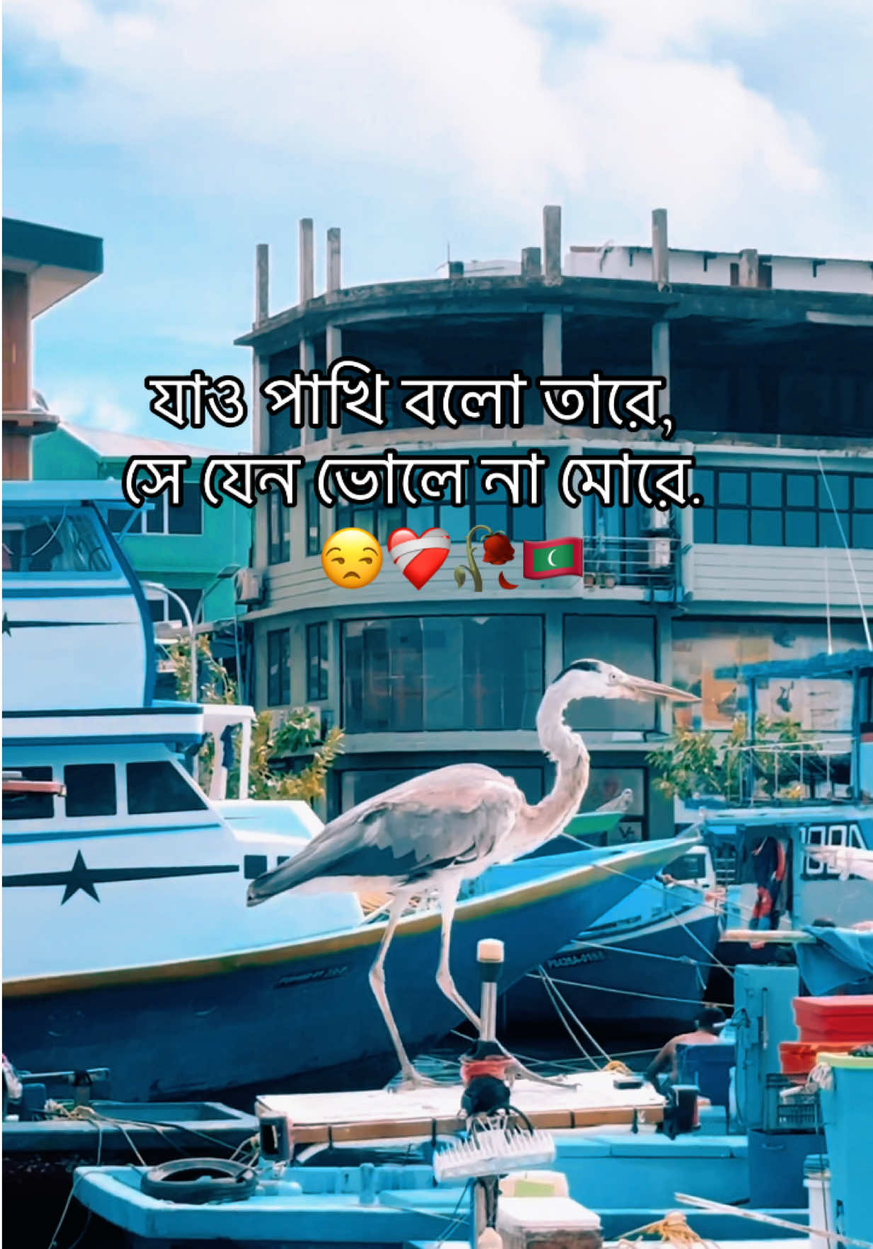 যাও পাখি বলো তারে, সে যেন ভোলে না মোরে. 😒❤️‍🩹🥀 #fypシ゚ #maldives 