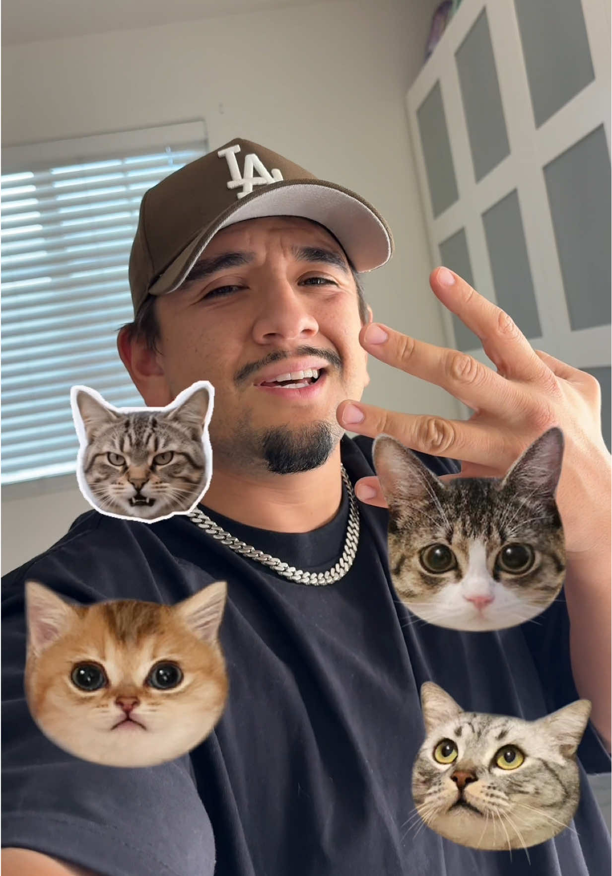 Literally makes it SO MUCH EASIER 🤩 #TikTokShopRestock #Fashionweek #Fallfreshness #PetPivot #Autoscooper @PetPivot US 