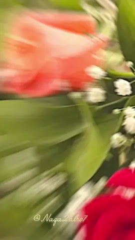 #قهوةبالحب☕♥️ 