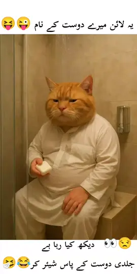 𝗮𝗽𝗻𝘆 𝗮𝘀𝘆 𝗱𝗼𝘀𝘁 𝗸𝗼 𝗺𝗲𝗻𝘁𝗶𝗼𝗻 𝗸𝗮𝗿𝗼 𝗷𝗼 𝘀𝗮𝗿𝗱𝘆𝘂𝗻 𝗺𝗮 𝗻𝗮𝗵𝗻𝗮 𝗰𝗵𝗼𝗿 𝗱𝗲𝘁𝗮 😂#viralvideo #funny #catfunny #new #cat 