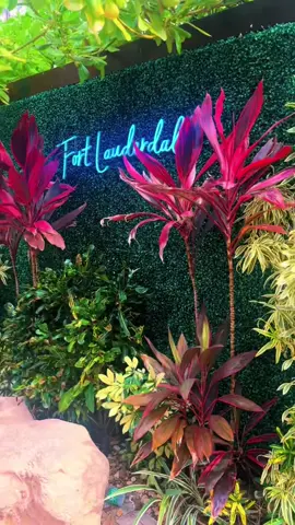 Bunch in Fort Lauderdale with the #loml #florida #fortlauderdalebeach #fyp #relationshipgoals 