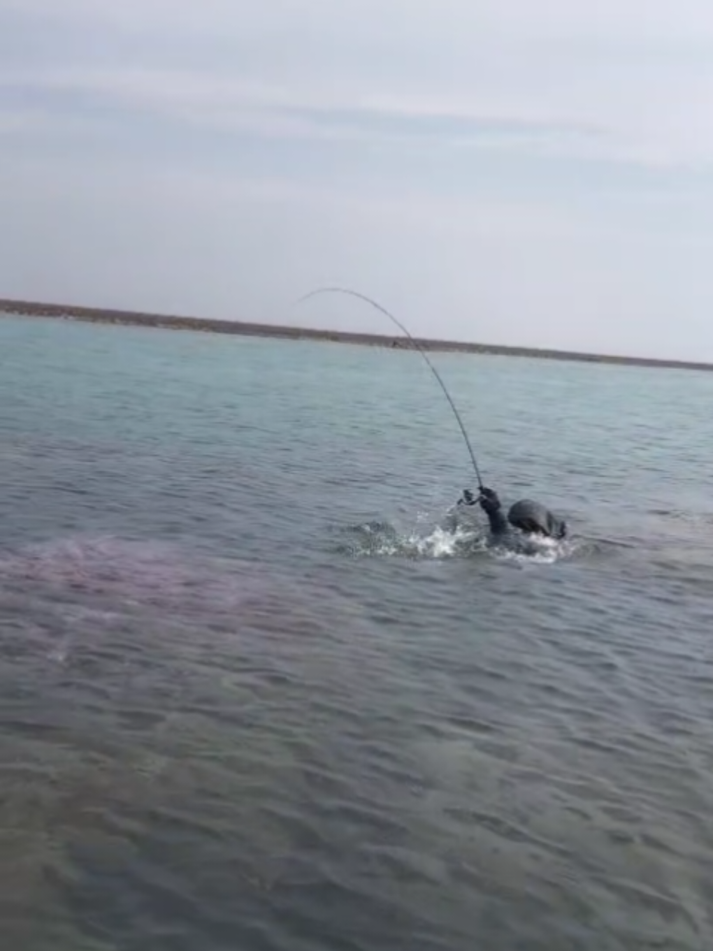 Strike Di Pulau Panjang #fishing #microjig #relixnusantara 