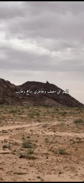 #اكسبلورexplore 