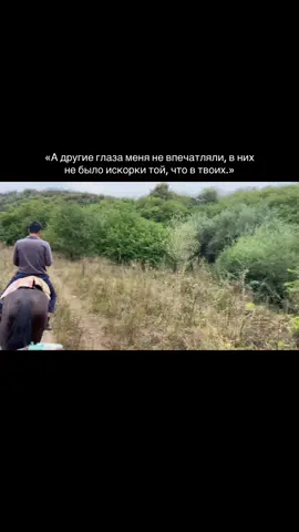 #рек #рекомендации 