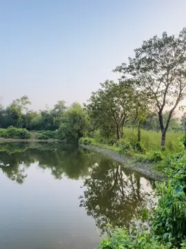 মানুষের থেকে দূরে থাকা ভালো। একা থাকা ভালো, মানুষ দূর থেকে সুন্দর। মানুষের মাঝে বেশি ভেসে যেতে নেই, মিশে যেতে নেই, দিনশেষে মানুষ থাকে না।❤️🩹#foryou 
