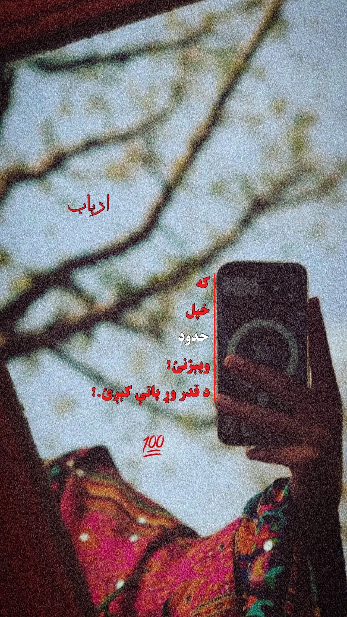 #foryoupage #ملتیا_مې_وکړه📚 #500k #trinding #viral #foryoupage❤️❤️ #motvation @★彡[Arbab Oo]彡★ 