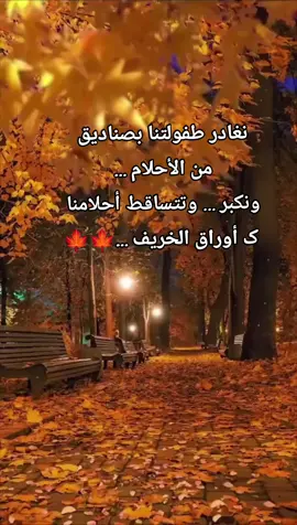 #خريف #العمر #الاحباب❤❤❤❤ #اكسبلورexplore #fpy 