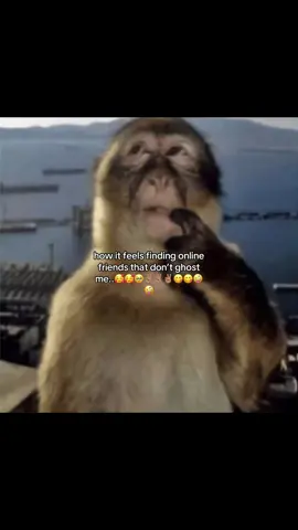 🥹🥹✌🏽✌🏽. #onlinefriends #robloxx #international #fyp #nonchalant 