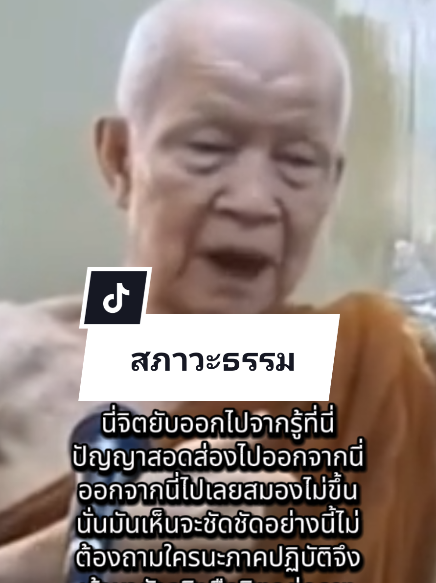 #หลวงตามหาบัว_ญาณสัมปันโน #จิต #ใจ #ฝึกจิต #พี่นุ้ยสรานันท์ 