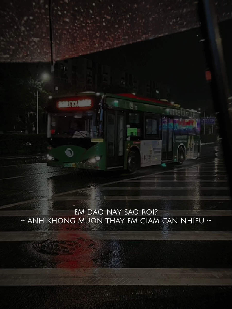 Em dạo này sao rồi...!#nhachaymoingay #nhactamtrang #tamtrang #remix 