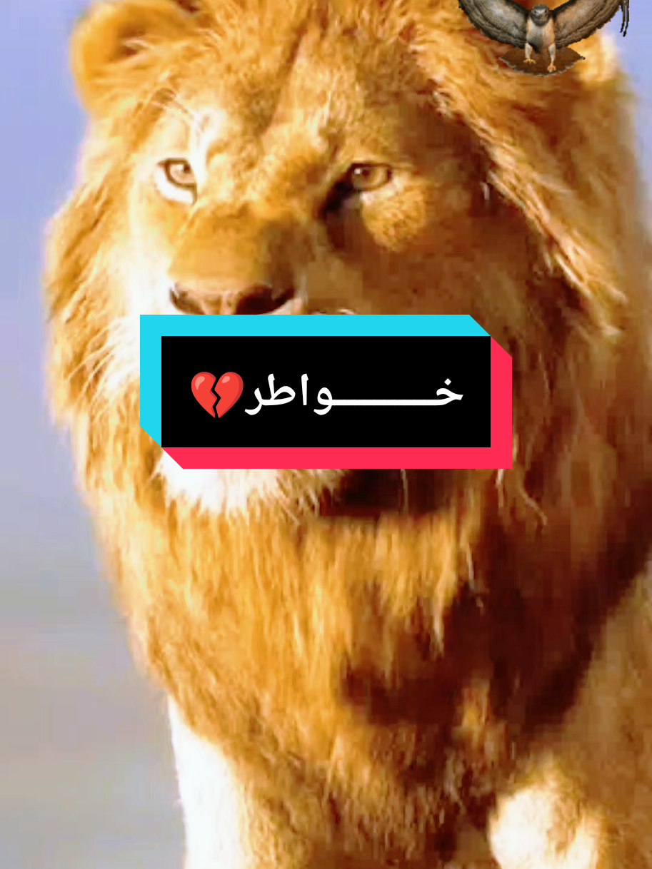 #💔خــــــــــواطر #creatorsearchinsights #