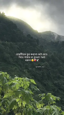 তাকদীরের সুখ কখনো কেউ কেড়ে নিতে পারবে না,সুতরাং ধৈর্য্য ধরুন!☺️🤍 @TikTok Bangladesh #foryou #idfreezz🙏🙏 #bdtiktok #foryouplz #evu 