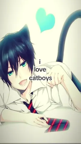 #catboys #uwu #fyp #viral 