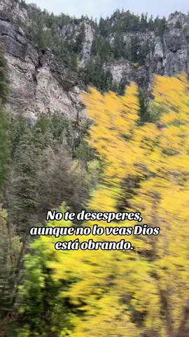 Dios está obrando #diostebendiga #diosteama #haypoderenelnombredejesus #cristianos 