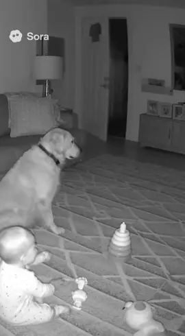 The Dog That Protects Babies from Ghosts👻 幽霊から赤ちゃんを守る犬 #dog #ghost 