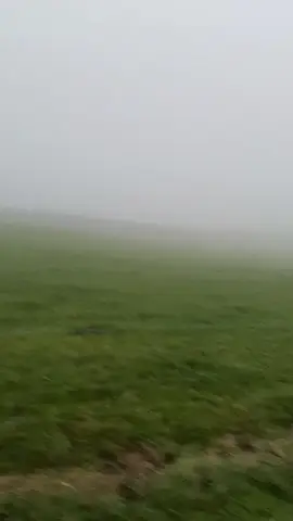 #rezero  #whitewhale #anime##isekai 