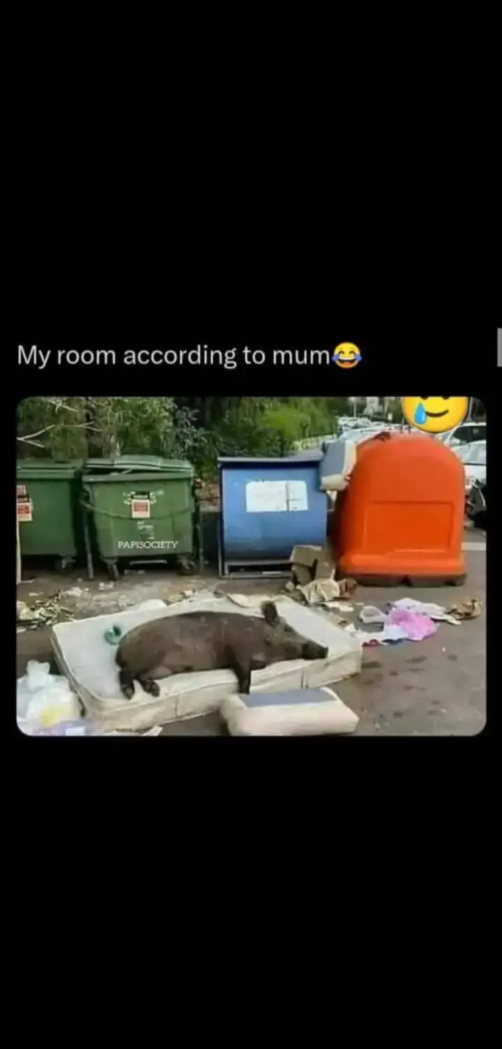 just imagine 