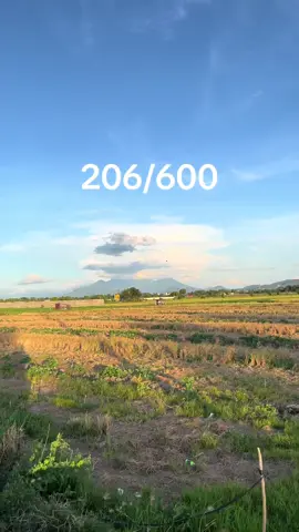 #fyp #foryoupage #newaffiliate #newaffiliatetiktok #engagementisthekey 