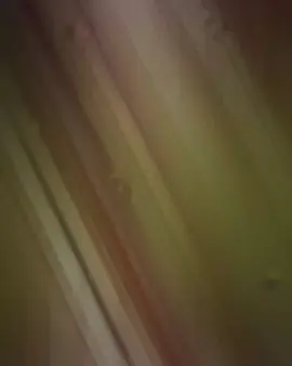 رونالدو.✨🤎#مقتدى_الصدرأعزه_الله #كسبلور_explor #برشلونه#اليوم #اليوم_الوطني_العراقي🇮🇶 