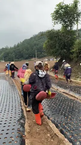 #xuatkhaulaodong #cuocsongthuongngay #viral #flypシ #xkldhanquoc 