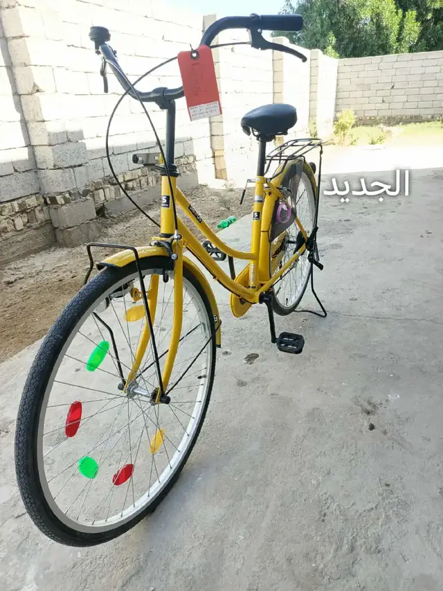 #الحلال_الجديد_عمي❤️🧿 #بايسكلات_العراق #الشعب_الصيني_ماله_حل😂😂 #عوادل_شمر #العراق 