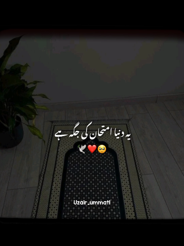 Islamic videos ❤️ #islamic #islamiccommunity #islamicvideos #allah❤️ #islamic_video 