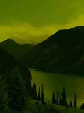 #سيدفاقدالموسوي💔💔💔 #حزينهシ🥺💙،، @نــور 