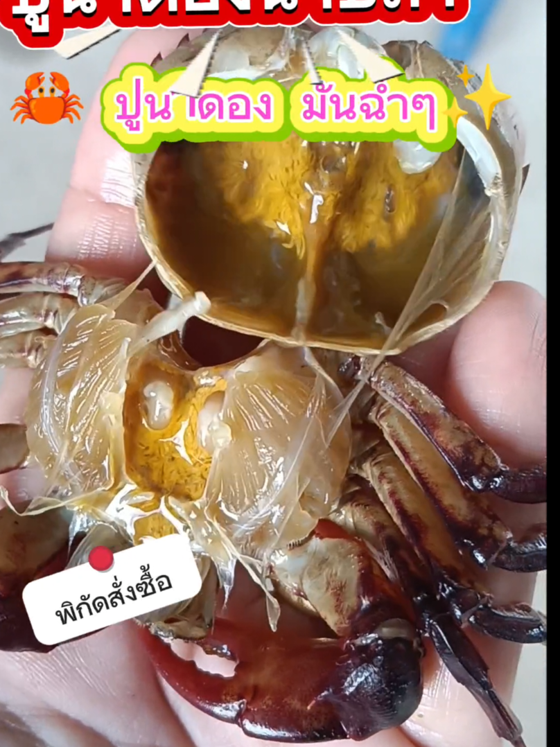 #เทรน #ปูนาดอง #ปูนาดองน้ำปลา #เทรนวันนี้ #ฮิต 