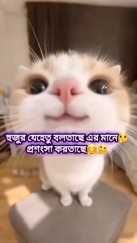 🤧🐸 #foryoupageofficialltiktokofficial #foryoupageofficialltiktokofficial #foryoupageofficialltiktokofficial 