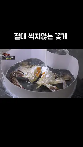 절대 썩지않는 꽃게 #골라듄다큐