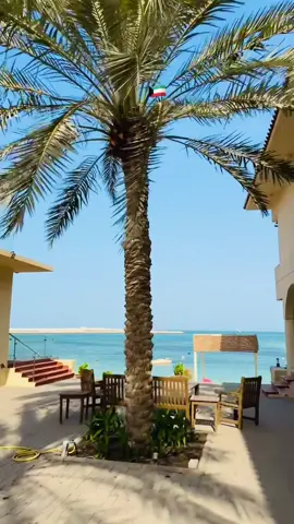 Khiran beach 😭❤️🤌🏻 #kuwait🇰🇼 #الخیران #fyp #khiran #beach 