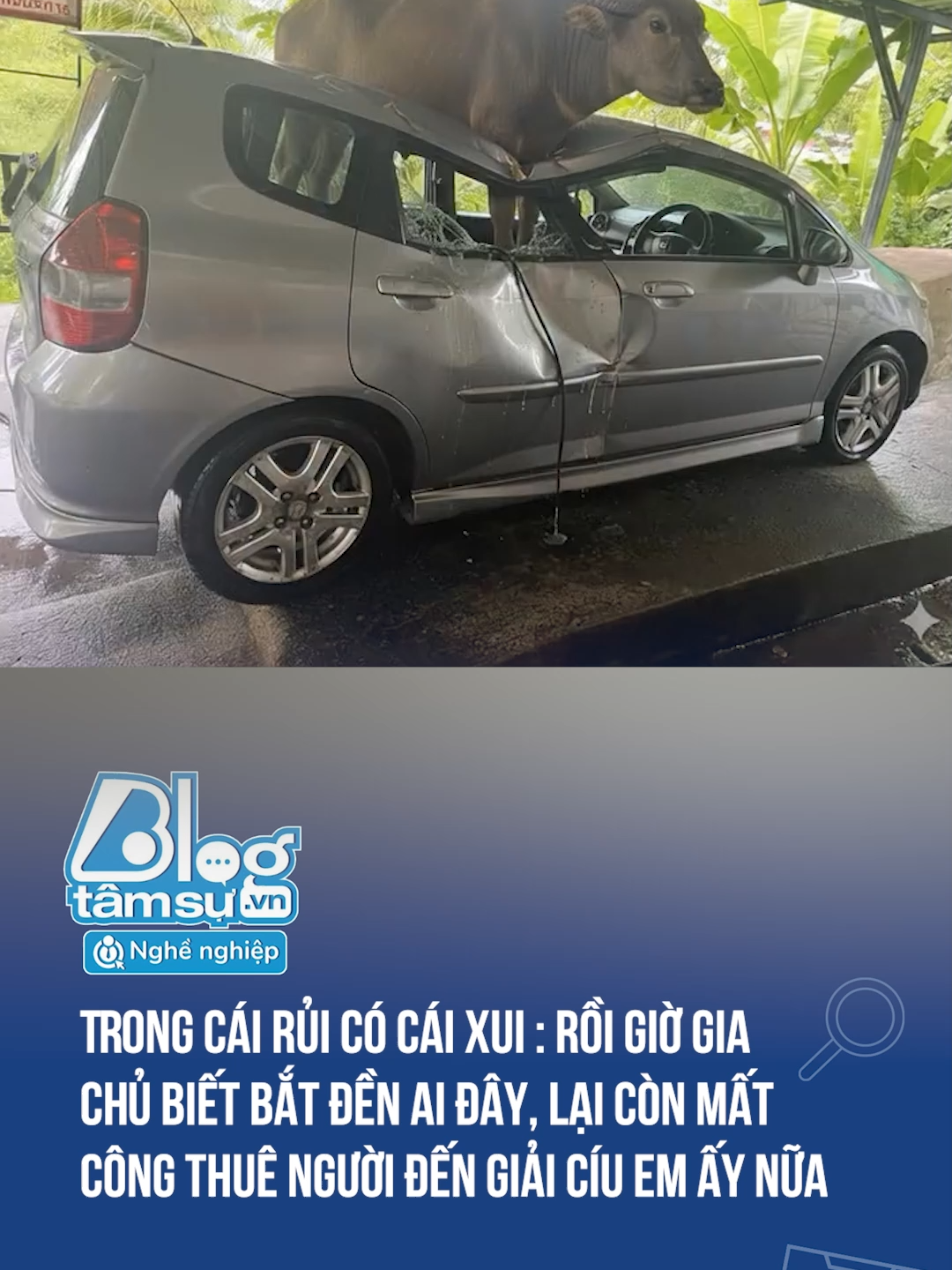 Ult giờ tính sao đây cac bác #discovery #blogtamsu #xuhuong #btsmedia #tiktoknews #funfact #viral #haihuoc