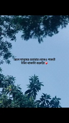 ছেলে মানুষের চেহারার থেকেও পকেটে টাকা থাকাটা জরুরি!❤️‍🩹 #foryou #banglacaption #sadcaption #emotionalvideo #fyp 