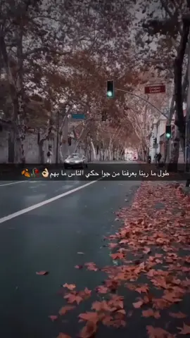 #اكسبلورexplore #رهط_تل_اسبع_اشقيب_عرعره_حوره_هداج__ #تصويري_احترافي_الاجواء👌🏻🕊😴 #اكسبلورexplore❥🕊🦋💚❤ #العبارات_عليكم🙂🖤🖇 