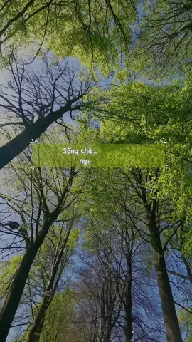 “ Tâm hồn rách nát cũng có quyền lành lại.”                                                      Đôi khi ta thấy mình tệ quá. Không còn nguyên vẹn, không còn niềm tin. Như tấm vải bị xé rách… không biết khâu lại bằng gì. Nhưng bạn biết không? Ngay cả mảnh vải rách vẫn có thể may thành tấm chăn ấm. Ngay cả tim từng tổn thương… vẫn biết yêu lần nữa. Đừng sợ những vết nứt. Vì ánh sáng chỉ lọt vào từ chính những kẽ nứt đó. 📖 “Lén Nhặt Chuyện Đời” – không hoàn hảo, nhưng chân thật như hơi thở. Một cuốn sách không tô hồng cuộc sống, nhưng làm bạn tin rằng: Dù lòng có rách, vẫn có thể lành. 💛 👉 Theo dõi trang này, #bookish #binhyenmoingay #trichdanhay #tramsach  @Trạm Sách  @Trạm Sách  @Trạm Sách #CapCut 