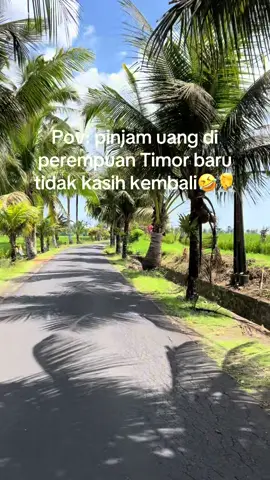 #bahaya😂🤦#kefamenanu🐼🤍tiktok #fypシ゚viral🖤tiktok #kotabali 
