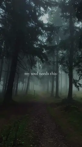 this feeds my soul 💚 #nature #forest #fyp #naturevibes #forestwalk 