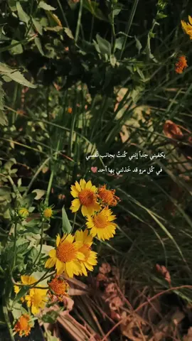 يَكفيني جِداً إنني كُنتُبِجانب نَفسي في كُل مرهٍ قد خَذلني بِها أحد .#اقتباسات_عبارات_خواطر🖤🦋❤️ #تصويري📷 #اصحاب_العبارات_الفخمه_التعليقات_لكم،💔🥀 #مالي_خلق_احط_هاشتاقات #الشعب_الصيني_ماله_حل😂😂 