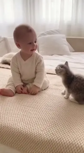 Bebekle kedi gerçekten konuşuyor gibi! 😍🐾 ##baby #cute #funny #keşfet 