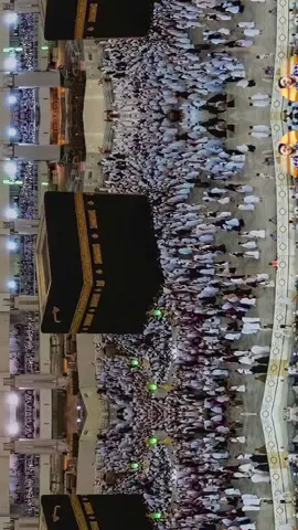 #أبو محمد#اكسبلور #اليمن#السعوديه#العراق 