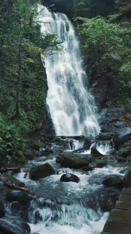 Some days you’ll smile. Some days you’ll fall apart. Both are part of healing. 🌙 You’re not behind — you’re learning to carry love and loss at the same time. 💜 Every breath, every tear, every small step forward means you’re still healing. Keep going — your heart is still finding its way home. 🕯️✨ 💜 Save this for the days you forget how far you’ve come. 💬 Comment “still healing” if you’re learning to carry love through loss. 🔁 Share this to remind someone: healing doesn’t mean forgetting. 📌 Follow for more gentle reminders and healing affirmations. #grief #griefjourney #healing #griefsupport  #fromheart111 