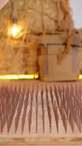 Giày nam thể thao sneaker #giaysneaker #giaythethaonam #xuhuong 