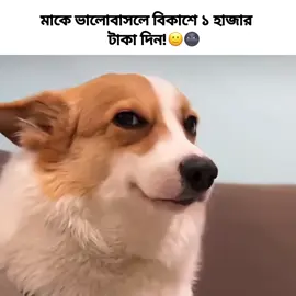 Hehehe 🙂🙏 #fypシ #viral #sylheti_fua #bibiyanasquad77😎 #creatorsearchinsight @For You @tiktok creators 