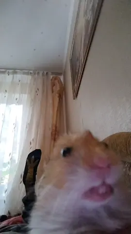 не переживайте він получив зарплату 🥕