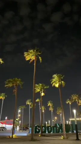 #saudiarabia #saudiarabia🇸🇦 #foryou #fyppppppppppppppppppppppp #viral 