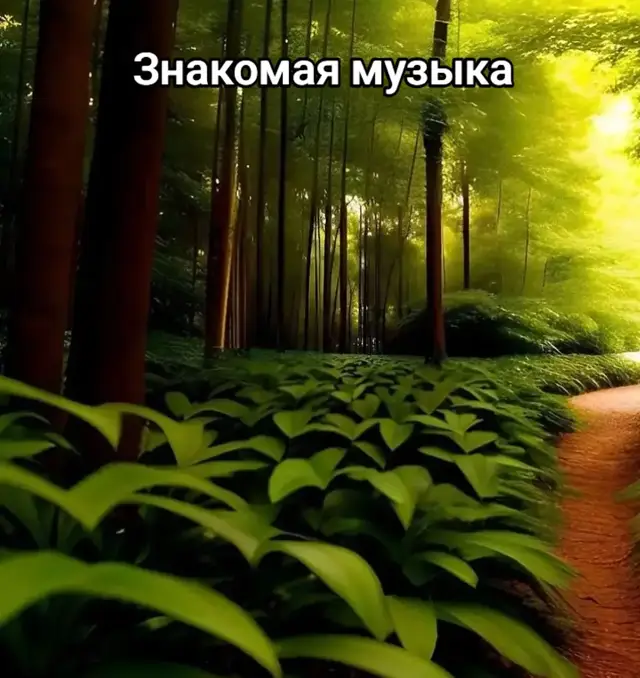 #elbruso #шайлушай  Легенда 2023 года...