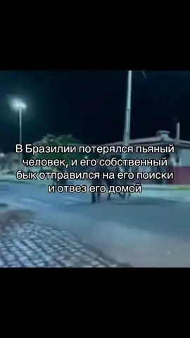 #fyp #real #meme #foryou #рекомендации 