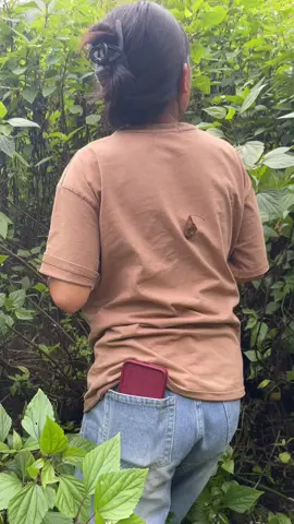 Trung bình một ngày ở Tà Xùa của chúng toii#taxua #xuhuong #thienduomaytaxua 