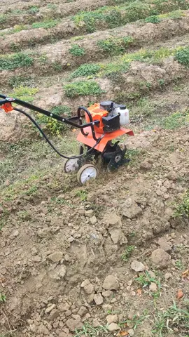 merek Reaim menawarkan mini tiller atau kultivator mini yang dapat digunakan sebagai mesin bajak tanah. Mesin ini cocok untuk lahan kecil dan multifungsi untuk membajak, membalik tanah, menggemburkan, dan membuat parit. #fyppppppppppppppppppppppp #petanimuda 